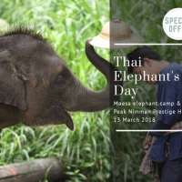 special-offerenjoy-elephant-tour-with-20off-plus-best-price-guaran